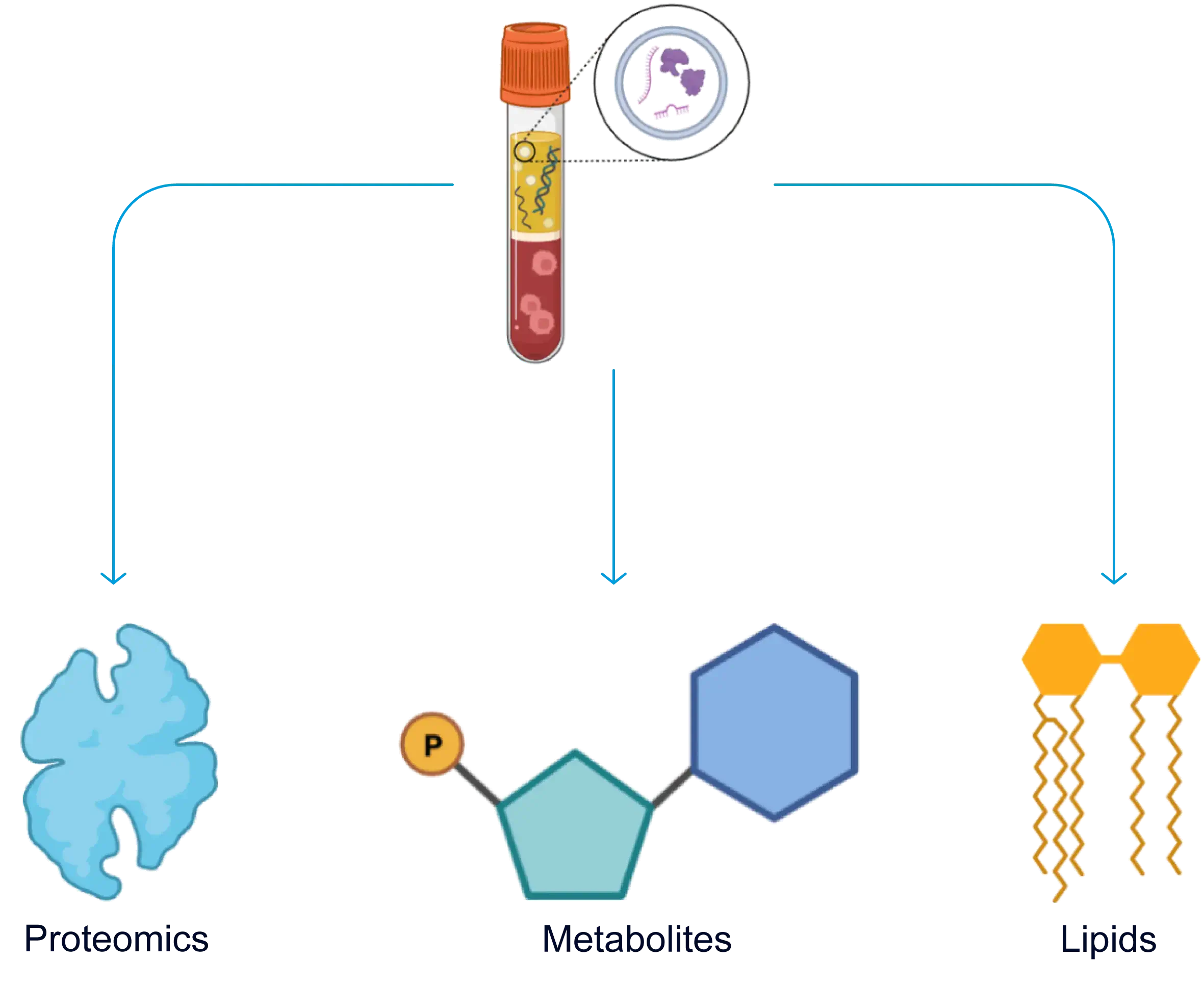 Diagram of the three-tier multi-omics approach